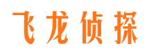 长江新区外遇调查取证